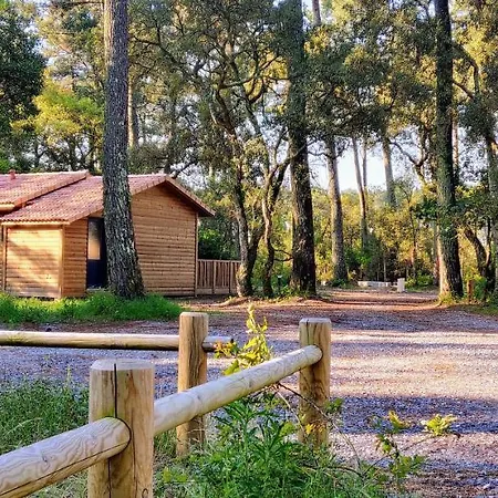 Airial Du Seignanx אונדרה