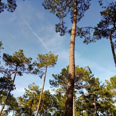 Airial Du Seignanx אתר נופש