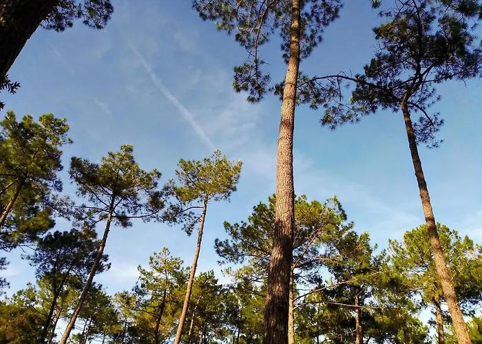 Airial Du Seignanx Resort