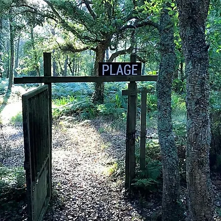 Airial Du Seignanx