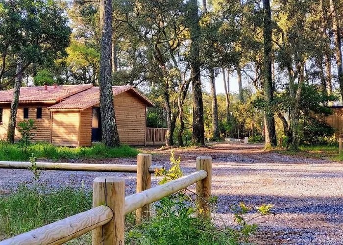 Airial Du Seignanx Ondres