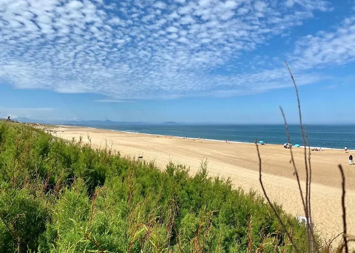 Airial Du Seignanx *